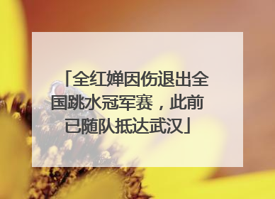 全红婵因伤退出全国跳水冠军赛，此前已随队抵达武汉