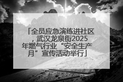 全员应急演练进社区，武汉龙泉街2025年燃气行业“安全生产月”宣传活动举行
