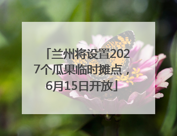 兰州将设置2027个瓜果临时摊点，6月15日开放