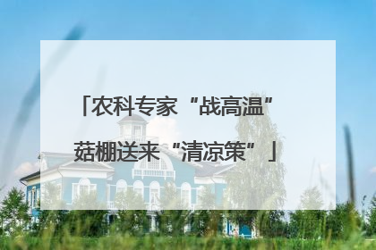 农科专家“战高温” 菇棚送来“清凉策”