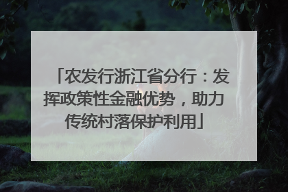 农发行浙江省分行：发挥政策性金融优势，助力传统村落保护利用