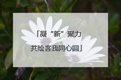 凝“新”聚力 共绘客我同心圆
