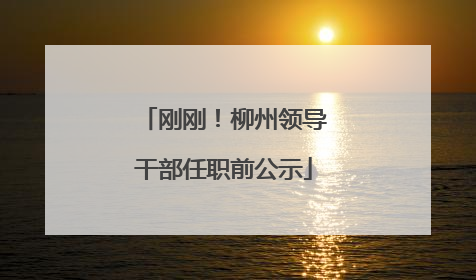 刚刚！柳州领导干部任职前公示