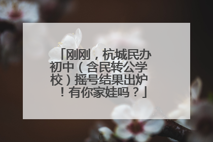 刚刚，杭城民办初中（含民转公学校）摇号结果出炉！有你家娃吗？