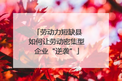 劳动力短缺县 如何让劳动密集型企业“逆袭”
