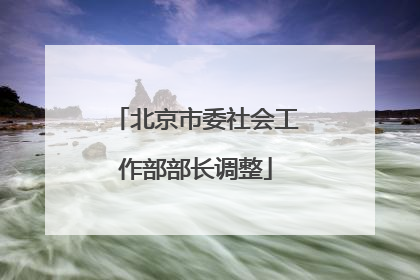 北京市委社会工作部部长调整