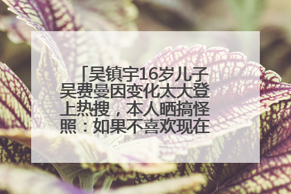 吴镇宇16岁儿子吴费曼因变化太大登上热搜，本人晒搞怪照：如果不喜欢现在的我可以离开