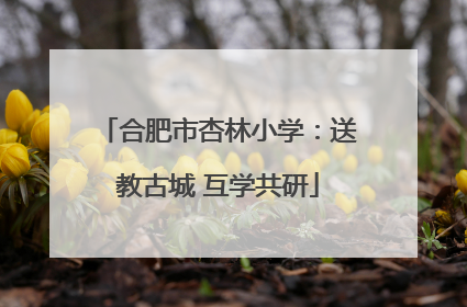 合肥市杏林小学：送教古城 互学共研