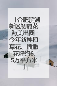合肥滨湖新区初夏花海美出圈 今年新种植草花、播撒花籽约6.5万平方米