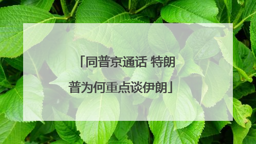 同普京通话 特朗普为何重点谈伊朗