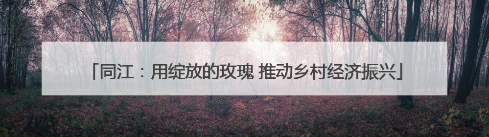 同江：用绽放的玫瑰 推动乡村经济振兴