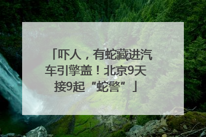 吓人，有蛇藏进汽车引擎盖！北京9天接9起“蛇警”