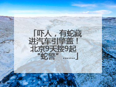 吓人，有蛇藏进汽车引擎盖！北京9天接9起“蛇警”……