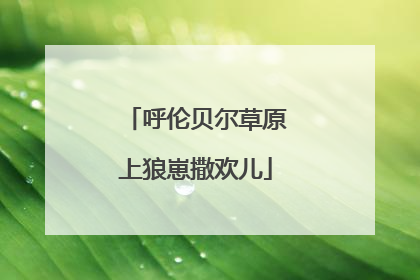 呼伦贝尔草原上狼崽撒欢儿