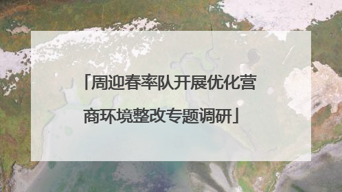 周迎春率队开展优化营商环境整改专题调研