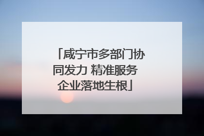 咸宁市多部门协同发力 精准服务企业落地生根
