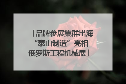 品牌参展集群出海 “泰山制造”亮相俄罗斯工程机械展