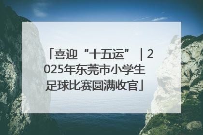 喜迎“十五运”｜2025年东莞市小学生足球比赛圆满收官