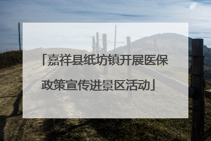 嘉祥县纸坊镇开展医保政策宣传进景区活动