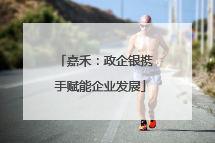 嘉禾：政企银携手赋能企业发展