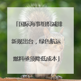 国际海事组织减排新规出台，绿色航运燃料亟须降低成本