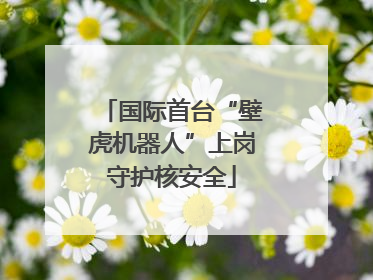 国际首台“壁虎机器人”上岗守护核安全