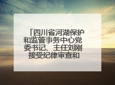 四川省河湖保护和监管事务中心党委书记、主任刘刚 接受纪律审查和监察调查