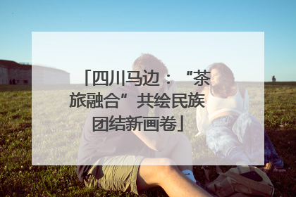 四川马边：“茶旅融合”共绘民族团结新画卷
