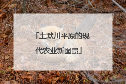 土默川平原的现代农业新图景