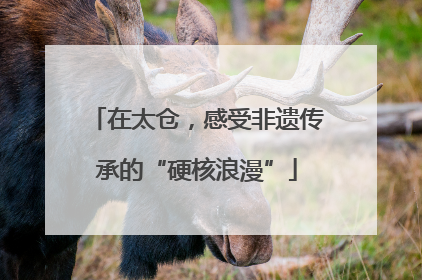 在太仓，感受非遗传承的“硬核浪漫”