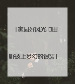 家园好风光 ⎮田野披上梦幻的银装
