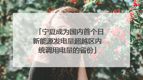 宁夏成为国内首个日新能源发电量超越区内统调用电量的省份