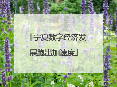宁夏数字经济发展跑出加速度