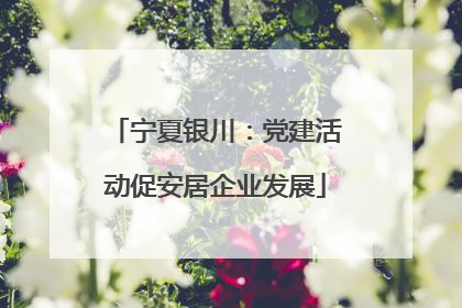 宁夏银川：党建活动促安居企业发展