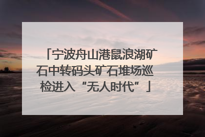 宁波舟山港鼠浪湖矿石中转码头矿石堆场巡检进入“无人时代”