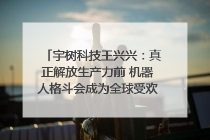 宇树科技王兴兴：真正解放生产力前 机器人格斗会成为全球受欢迎的赛事｜科技观察