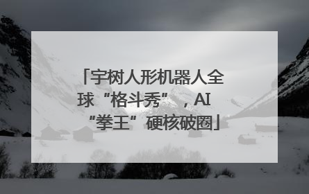 宇树人形机器人全球“格斗秀”，AI“拳王”硬核破圈