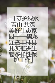 守护绿水青山 共筑美好生态家园——黑龙江省丰林县扎实推进生物多样性保护工作