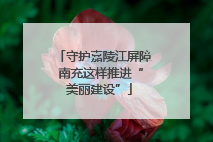 守护嘉陵江屏障 南充这样推进“美丽建设”