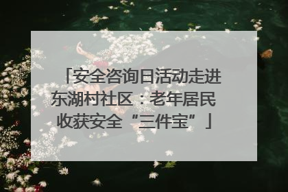 安全咨询日活动走进东湖村社区：老年居民收获安全“三件宝”