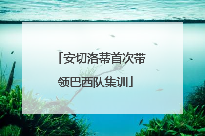 安切洛蒂首次带领巴西队集训