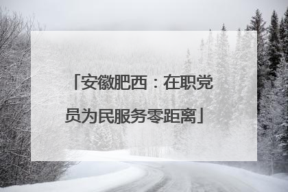 安徽肥西：在职党员为民服务零距离