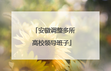 安徽调整多所高校领导班子