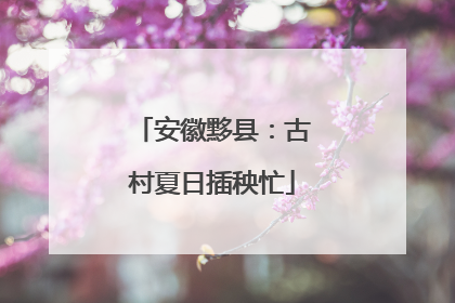安徽黟县：古村夏日插秧忙