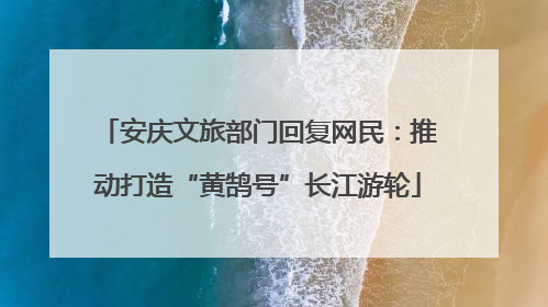 安庆文旅部门回复网民：推动打造“黄鹄号”长江游轮