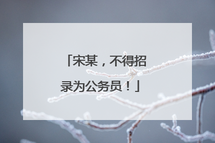 宋某，不得招录为公务员！