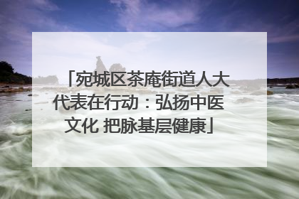 宛城区茶庵街道人大代表在行动：弘扬中医文化 把脉基层健康