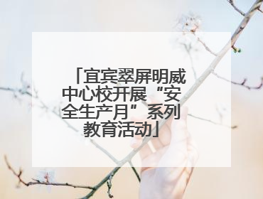 宜宾翠屏明威中心校开展“安全生产月”系列教育活动
