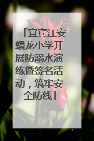 宜宾江安蟠龙小学开展防溺水演练暨签名活动，筑牢安全防线