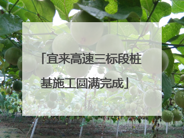 宜来高速三标段桩基施工圆满完成